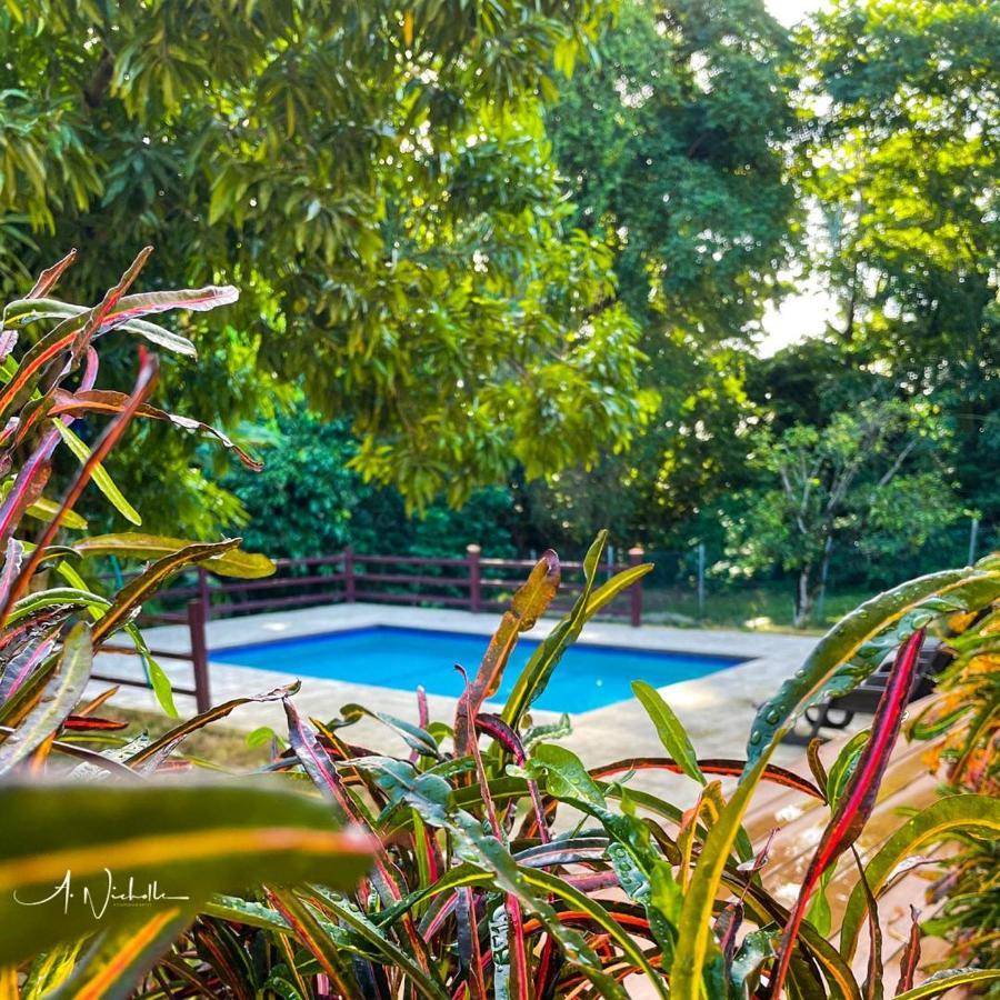 Tropical Apartments Tobago Scarborough Esterno foto